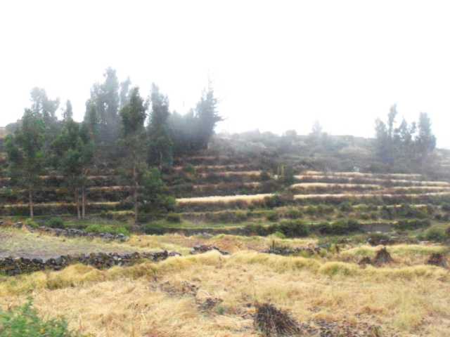 Peru_Tag_5_(135).JPG