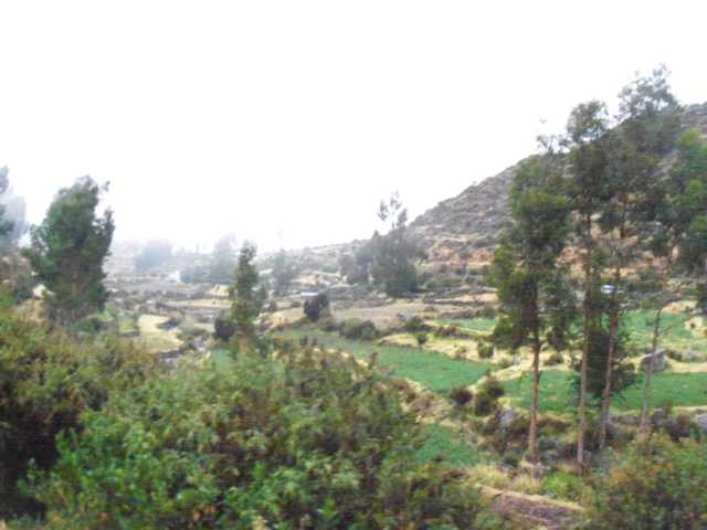 Peru_Tag_5_(137).JPG