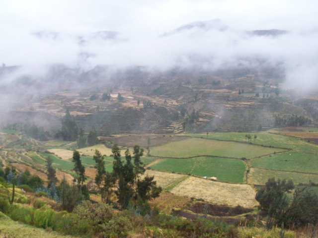 Peru_Tag_5_(138).JPG