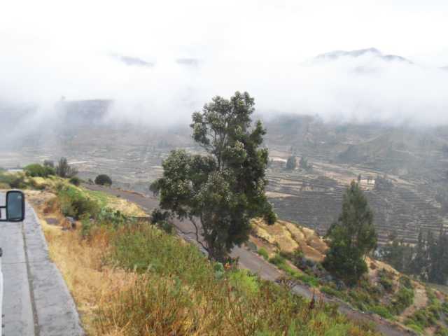 Peru_Tag_5_(143).JPG