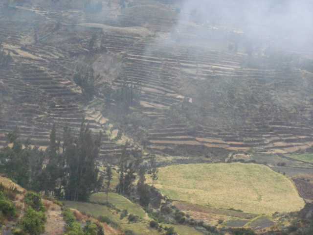Peru_Tag_5_(145).JPG