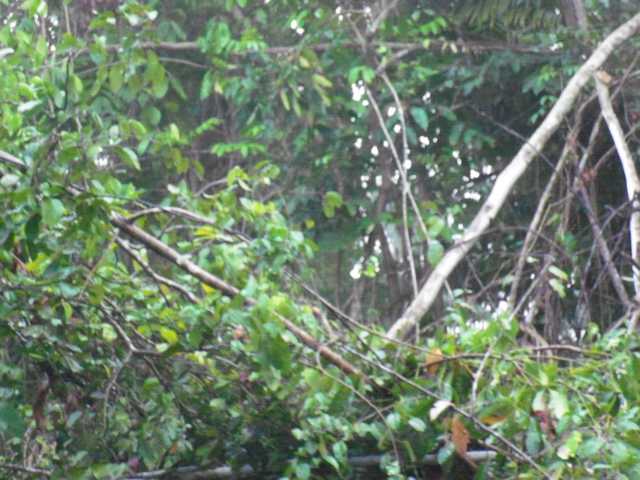 12Tag_Delta_Caripe(116).JPG