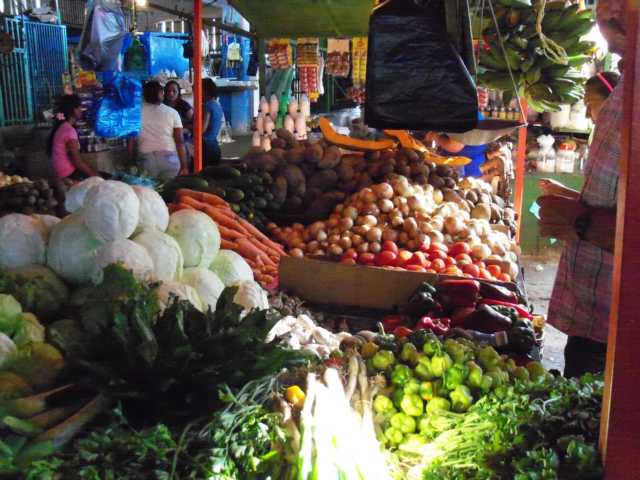 5Tag_San-Fernando_Orinogo_Lodge(123).JPG