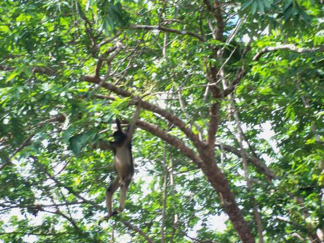 8Tag_Rio-Caura_Indianer(128).JPG